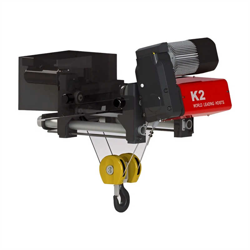 OEM ODM Customizable Electric Wire Rope Hoist for Various Applications