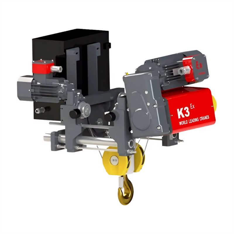 OEM ODM Customizable Electric Wire Rope Hoist for Various Applications
