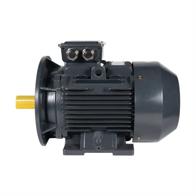 Heavy Duty Iron Housing Three Phase Motor for Pumps and Compressors