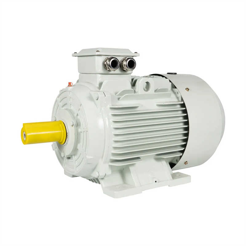 Heavy Duty Iron Housing Three Phase Motor for Pumps and Compressors