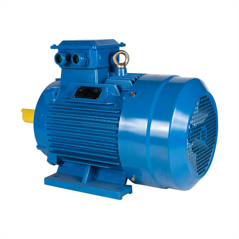 Heavy Duty Iron Housing Three Phase Motor for Pumps and Compressors