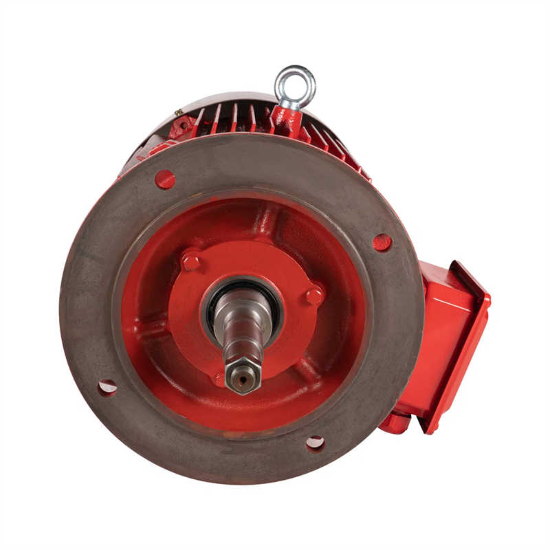 15KW 20HP Three Phase Asynchronous Electric Motor 2940RPM 380V