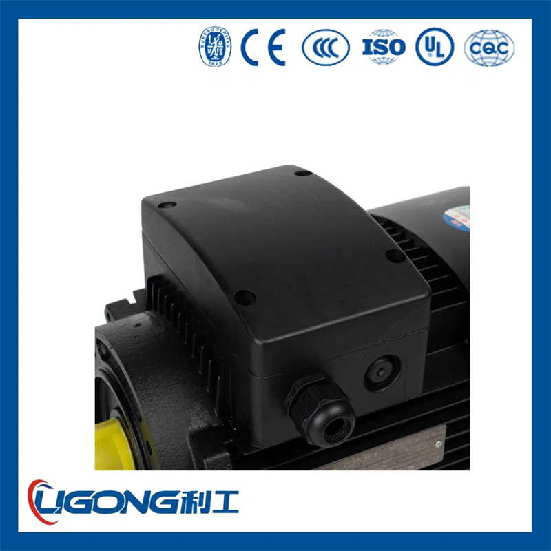 IE3 Premium Efficiency Three Phase Motor with Squirrel Cage Design