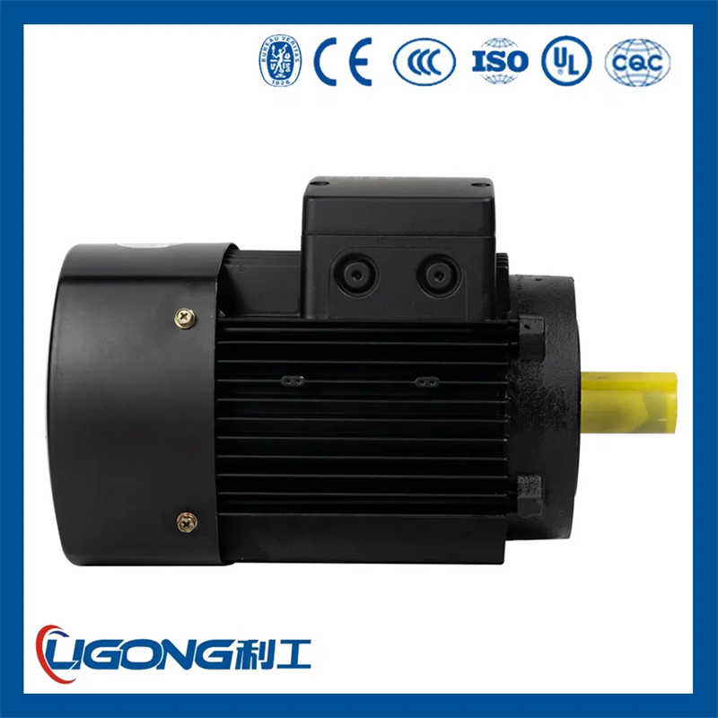 IE3 Premium Efficiency Three Phase Motor with Squirrel Cage Design