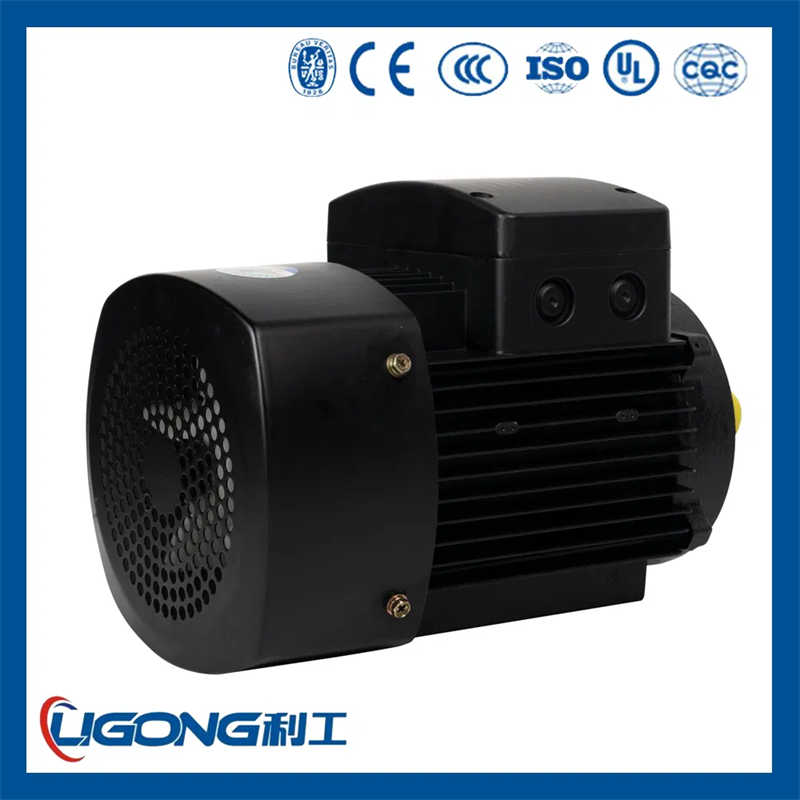 YE3-80M2-8 0.25KW Three Phase Asynchronous Motor IP55 Rated