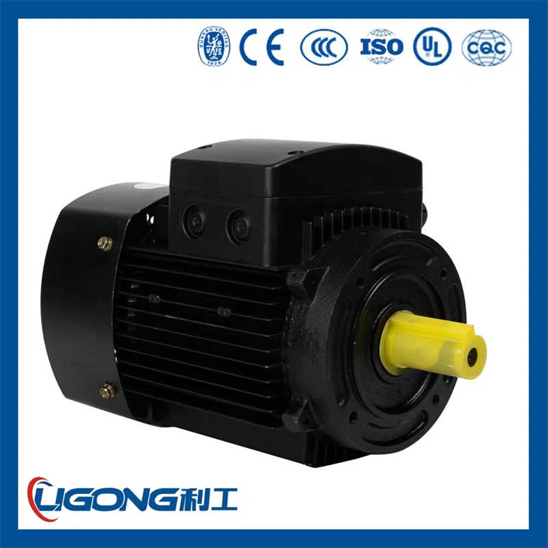 YE3-80M2-8 0.25KW Three Phase Asynchronous Motor IP55 Rated