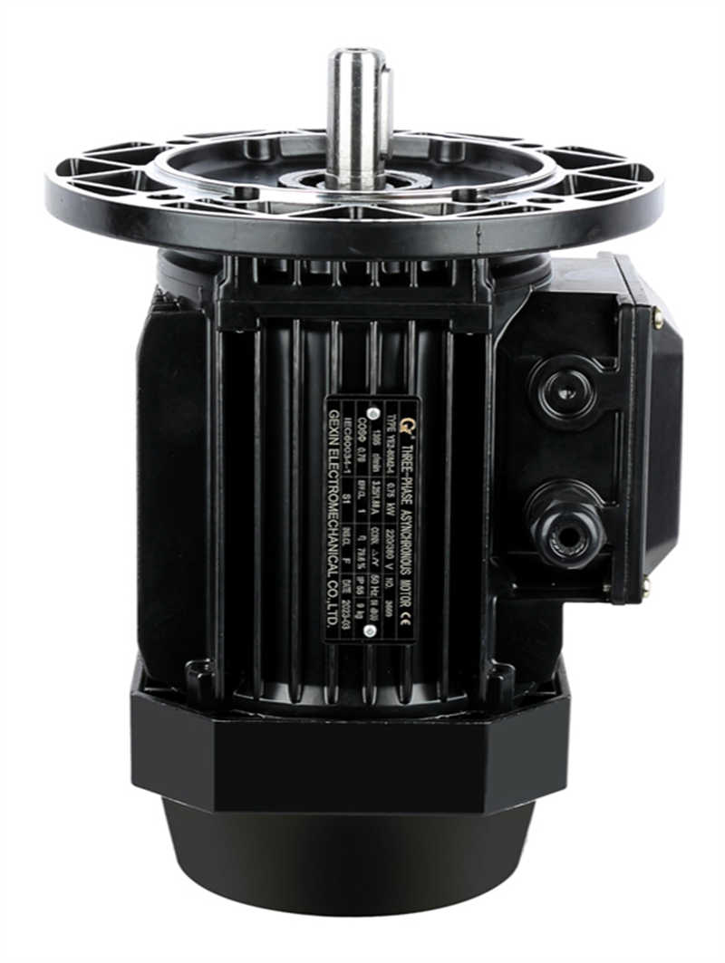 Compact MS Series Aluminum Shell Three-Phase Asynchronous Motor