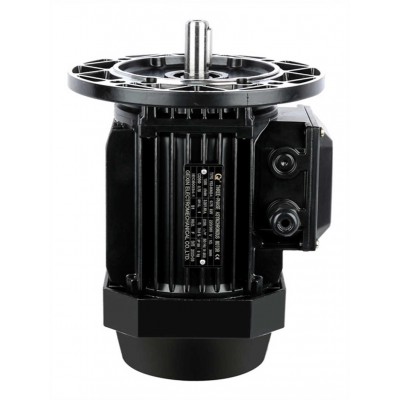 CE Approved MS Series Aluminum Shell High Efficiency Asynchronous Motor