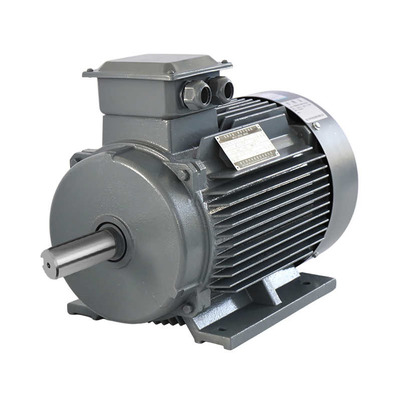 Compact YD Series Multi-Speed Three-Phase Induction Motor