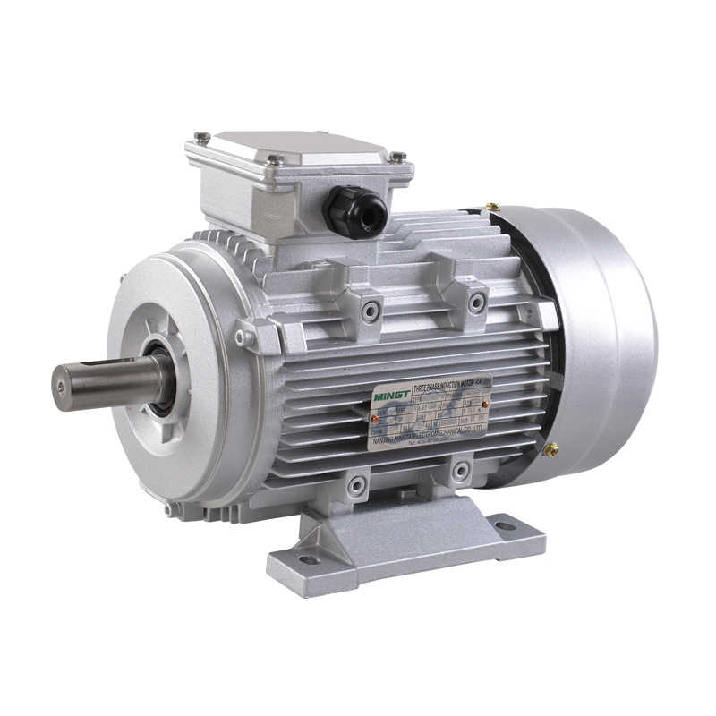 Cast Iron Body YE3 Series IE3 Premium Efficiency Asynchronous Motor