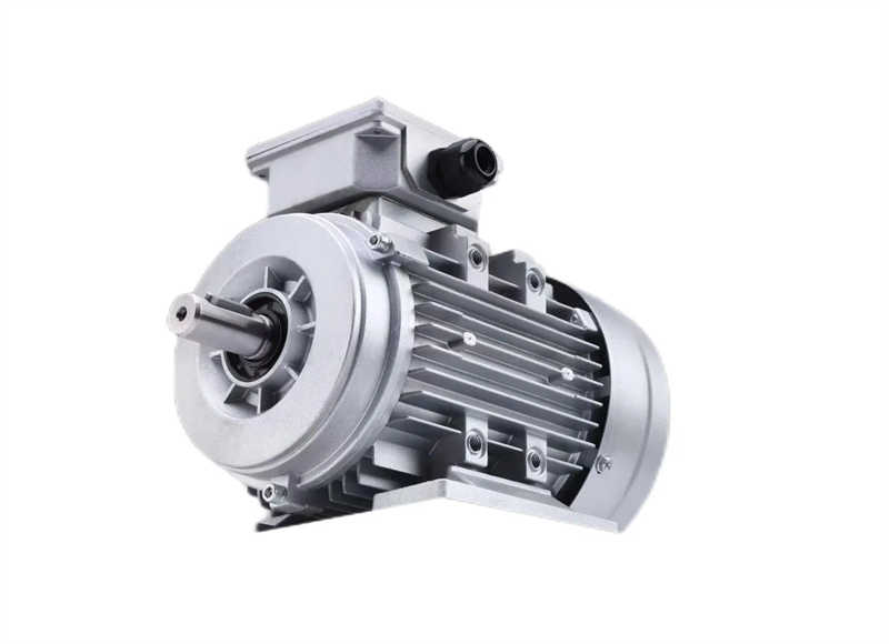 YS Series General Purpose Totally Enclosed Three-Phase Motor