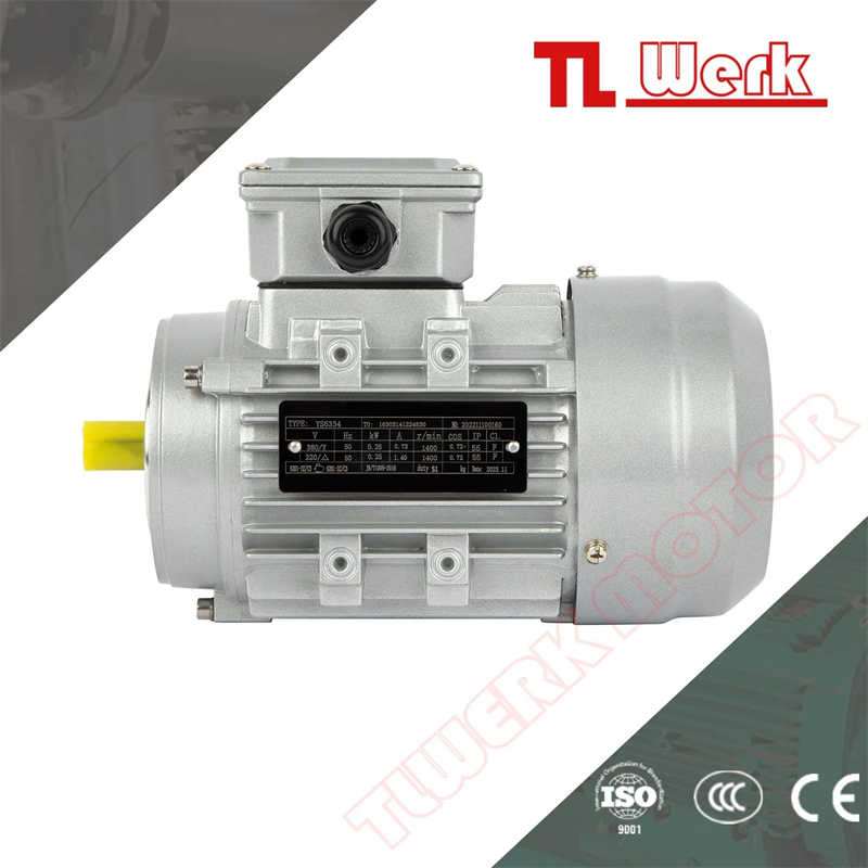 Ys/Ms Ye3 Ye4 B14 0.25kw 3 Phase Asynchronous Machine for Hoisting