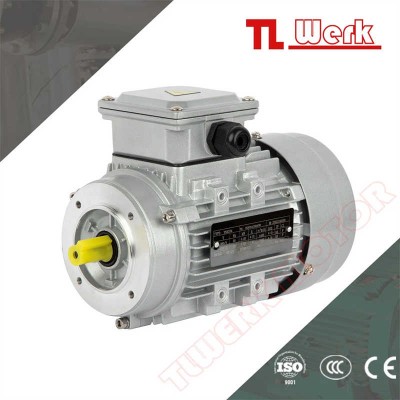Ys/Ms Ye3 Ye4 B14 0.25kw Electromagnetic Brake AC Motor for Hoisting