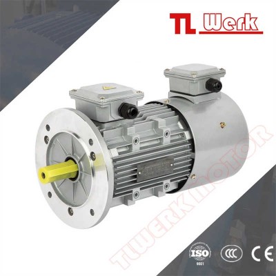 Ie3 Ie4 Ys B3 B5 B14 High Effective Reducer Motor Induction AC Motor