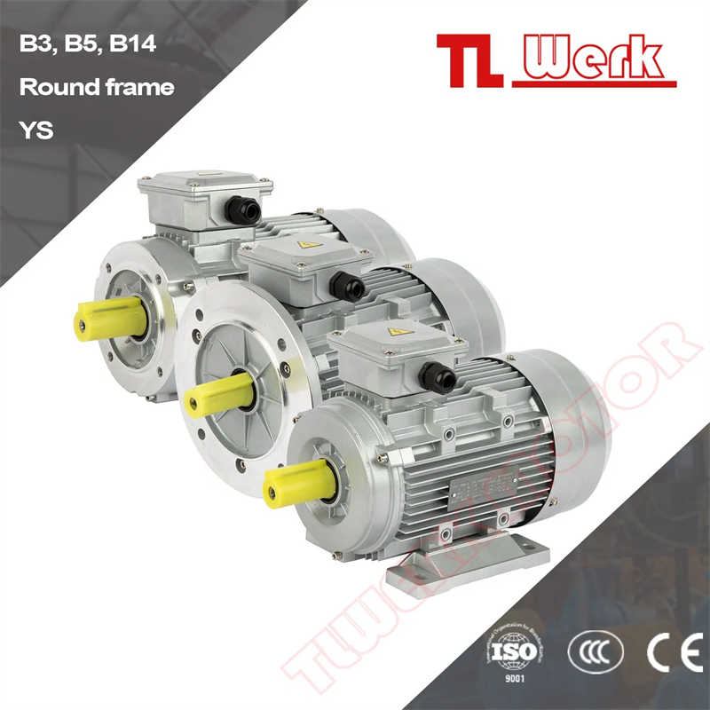 Ie3 Ie4 Ys Ye3 Ye4 1/8-3HP Three Phase Asynchronous Reducer Motor