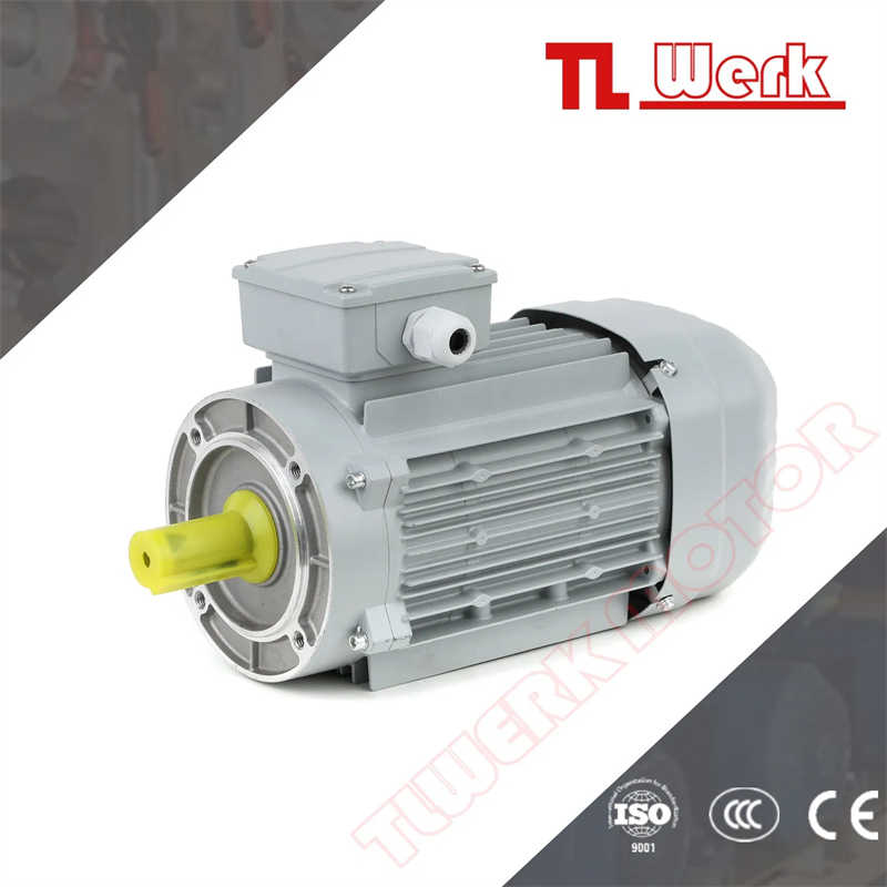 Ie3 Ie4 Ys Ye3 Ye4 1/8-3HP Three Phase Asynchronous Reducer Motor