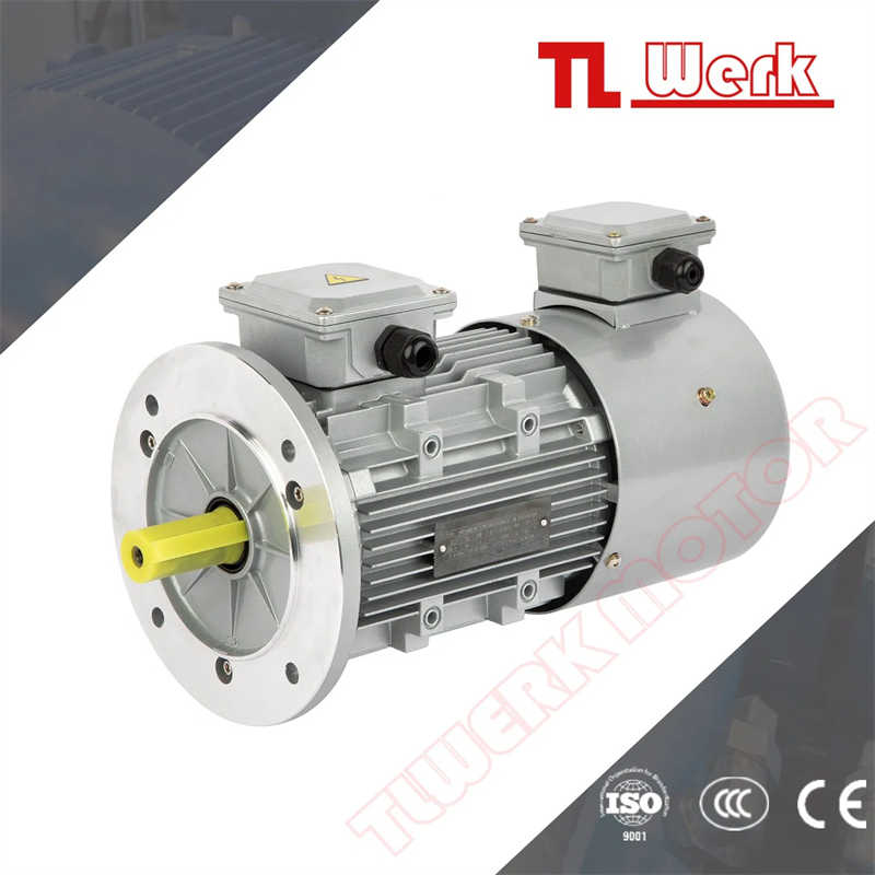 100 HP Industrial Asynchronous AC Motor Three Phase Electric Motor