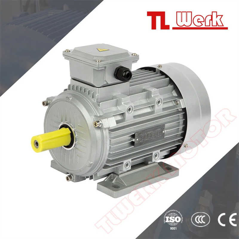 0.09 Kw 1/8HP AC Servo Spindle Motor for Boat Electric Motor