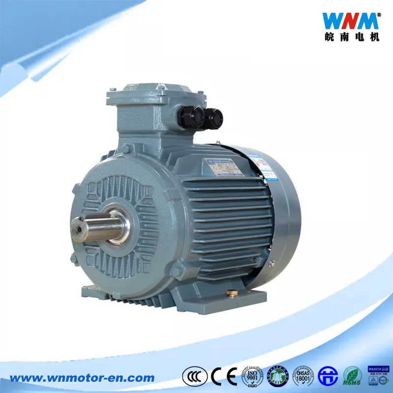 Atex Ie3 Premium Efficiency Dust Explosion Proof Three Phase Induction Motor