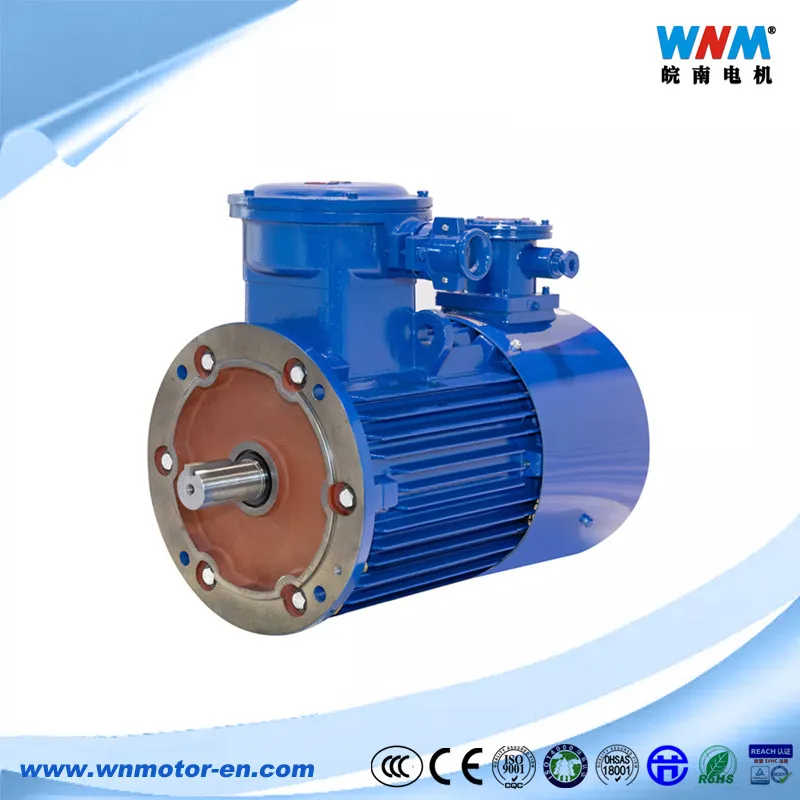 Atex Ie3 Premium Efficiency Dust Explosion Proof Three Phase Induction Motor
