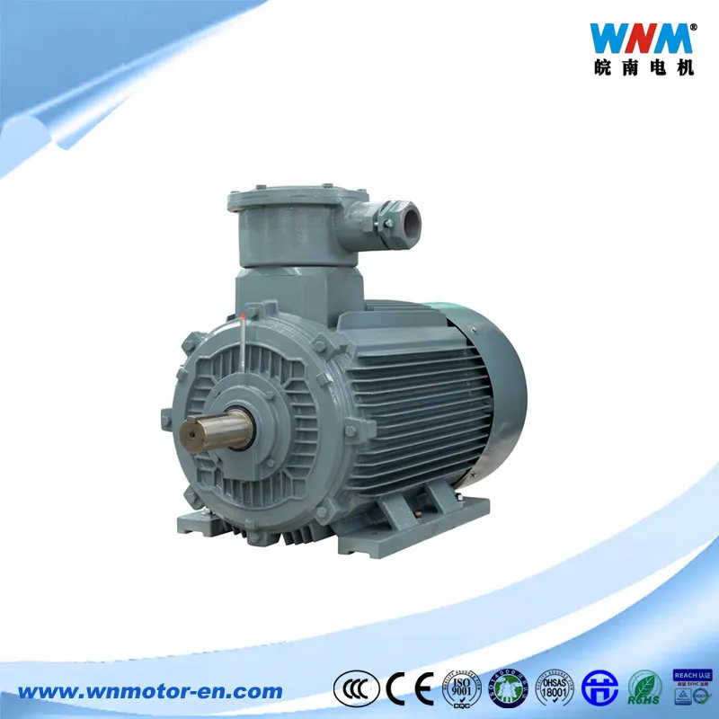 Atex Ie3 Premium Efficiency Dust Explosion Proof Three Phase Induction Motor