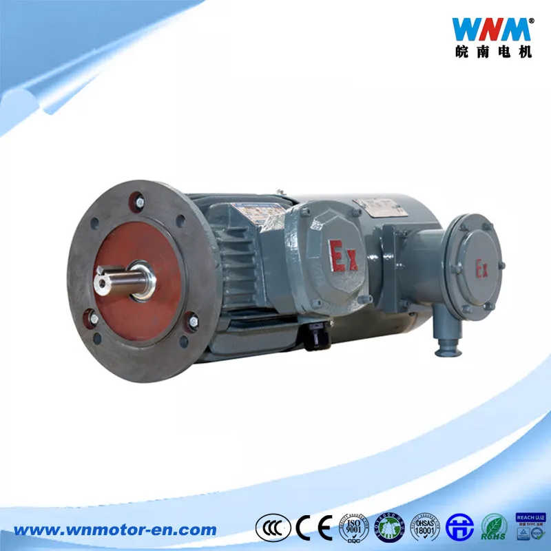 Low Voltage Explosion Proof Induction Electric Motor Under Hazardous Zones