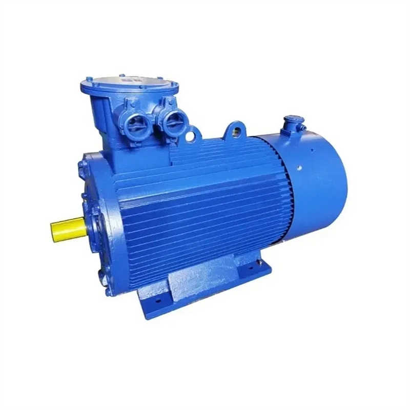 Explosion-Proof Frequency Conversion Industrial Engine Induction Electric Motor
