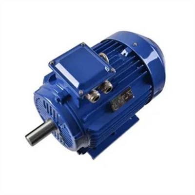 Three-Phase Explosion Proof Frequency Conversion Electric/Electrical Motors