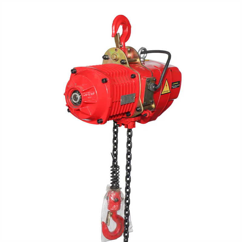 Customizable Mini Electric Lifting Hoist with Manufacturer Technical Support