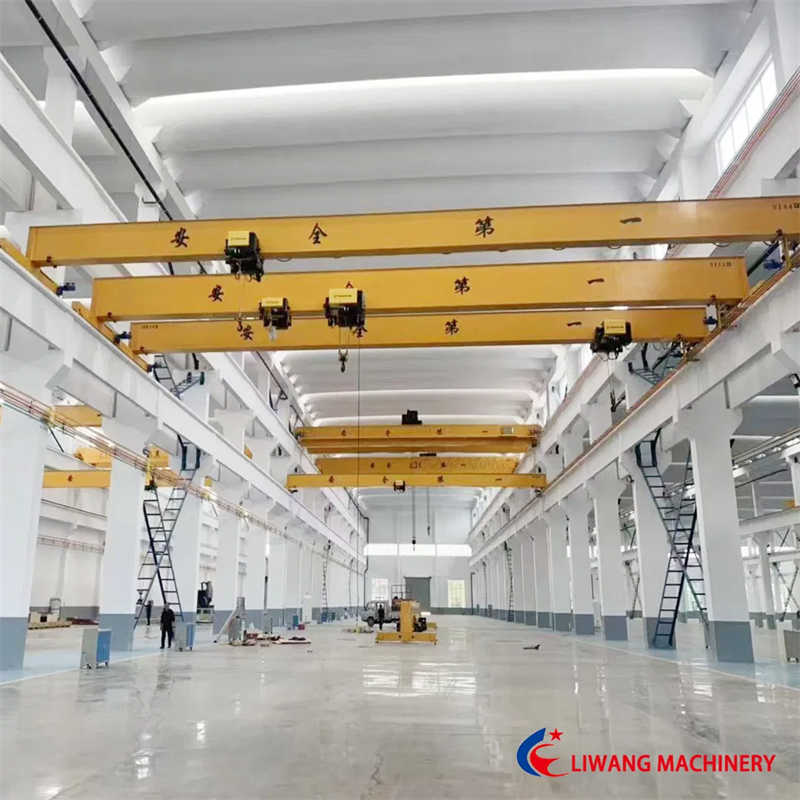 Cost-Effective Single Girder Bridge Crane, 2-20 Ton Capacity for Work Stations