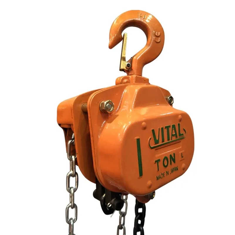 1ton 2ton 3ton 5ton 10ton Vital Chain Block