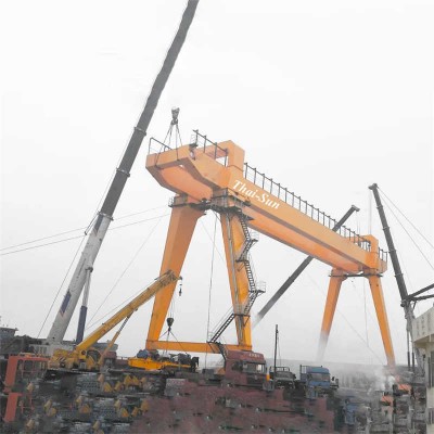 25 Ton Double Girder Gantry Crane for Sale Europe Design