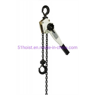 10 Ton Lever Block for Heavy Load Lifting in Demanding Environments