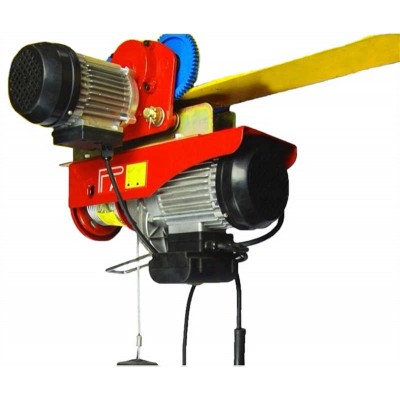 600lb Capacity DPA 600b Mini Hoist with Remote Control