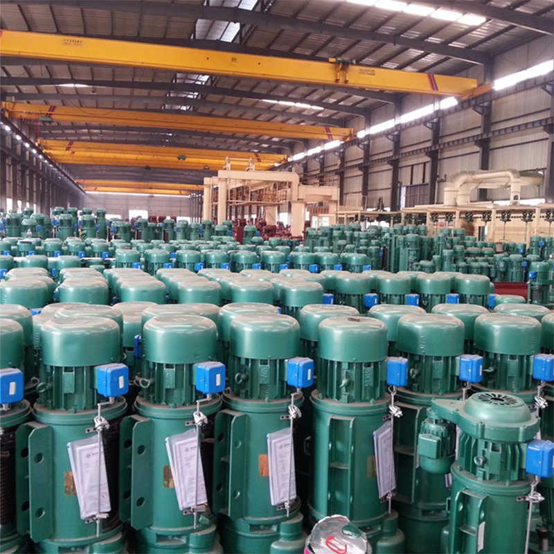 CD1 Wire Rope Electric Hoist 1 to 20 Ton Standard Capacity