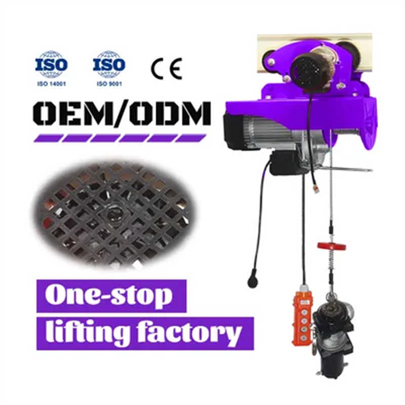 High Quality 1T 2T 3T 5T Mini Electric Hoist from Chinese Factory