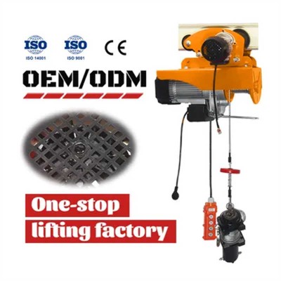 Durable Mini Electric Chain Hoist 1T 2T 3T 5T with Competitive Price