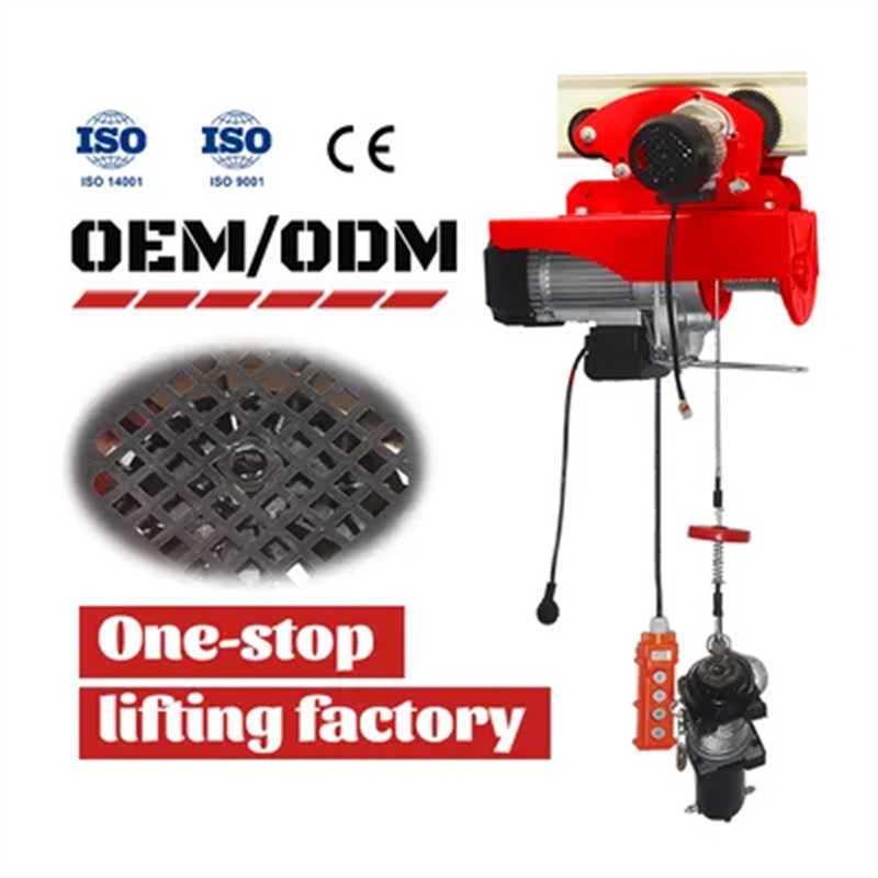 Durable Mini Electric Chain Hoist 1T 2T 3T 5T with Competitive Price