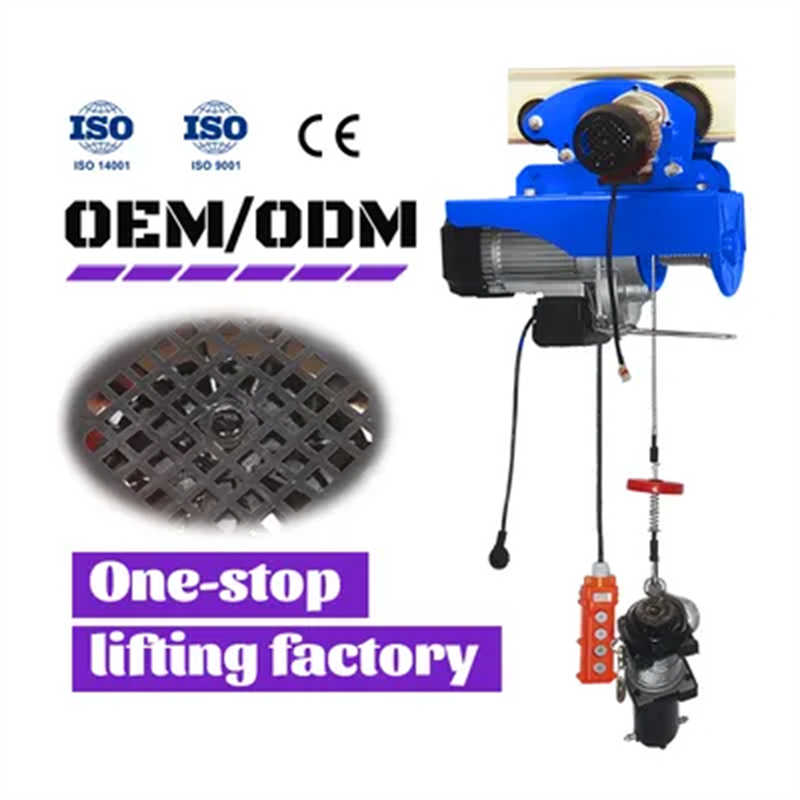 Reliable 220V/380V Mini Electric Hoist 1T to 5T for Industrial Lifting