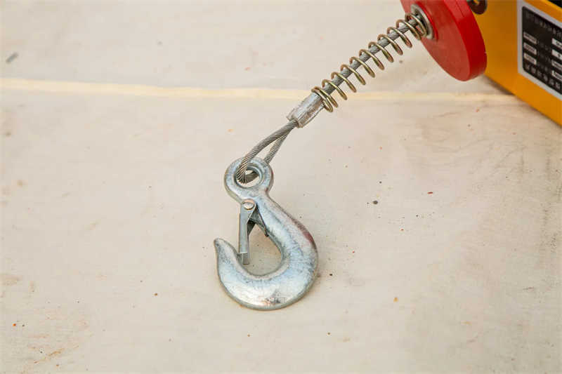 Electric Miniature Hoist 100kg-500kg with Single/Double Hook Options