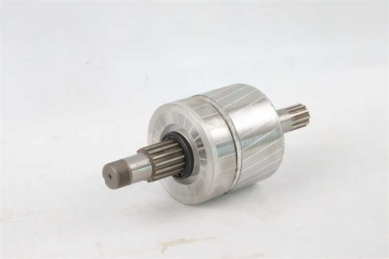 Fixed Chain Electric Hoist 0.5T-32T Capacity for Industrial Lifting