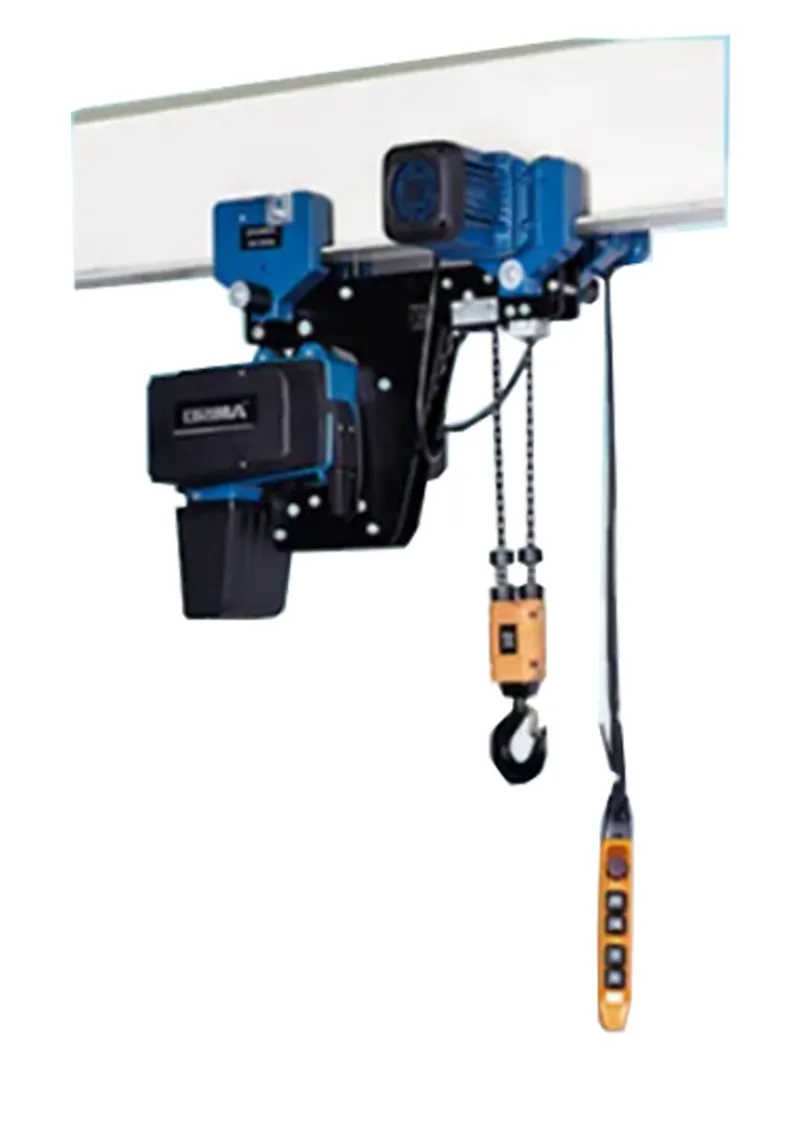 250kg-8 Chinses Brand Fixed Type European Electric Chain Crane Hoist