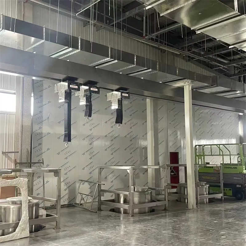 Clean Crane, Clean Room Electric Hoist, Suitable for Medical Industries