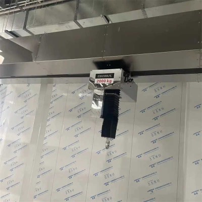 Factory Overhead Cantilever Crane for Room Clean Workshop