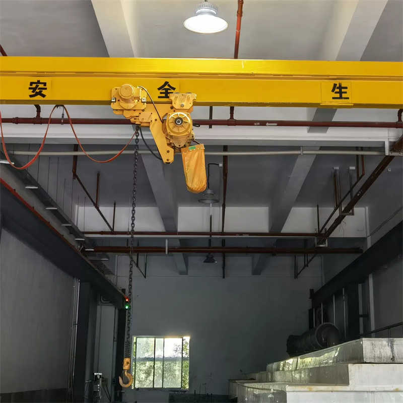 1 Ton 220V Electric Chain Hoist with Trolley for Europe from China