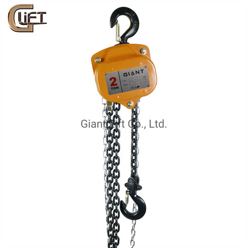5 Ton HSZ Series Manual Chain Block for Workshop Use in Germany