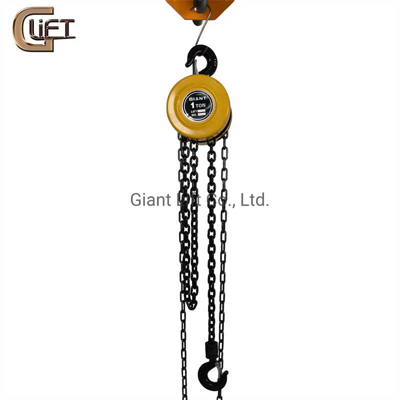 5 Ton HSZ Series Manual Chain Block for Workshop Use in Germany