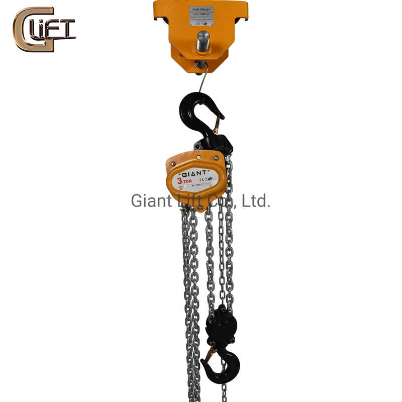5 Ton HSZ Series Manual Chain Block for Workshop Use in Germany