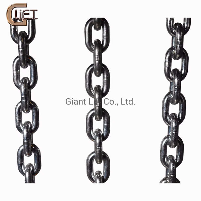 0.5 Ton Electric Chain Hoist with Hook 220V Export from China to USA