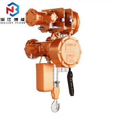 Chinese Export CT4 Explosion Proof Hoist with Full IECEx Certification
